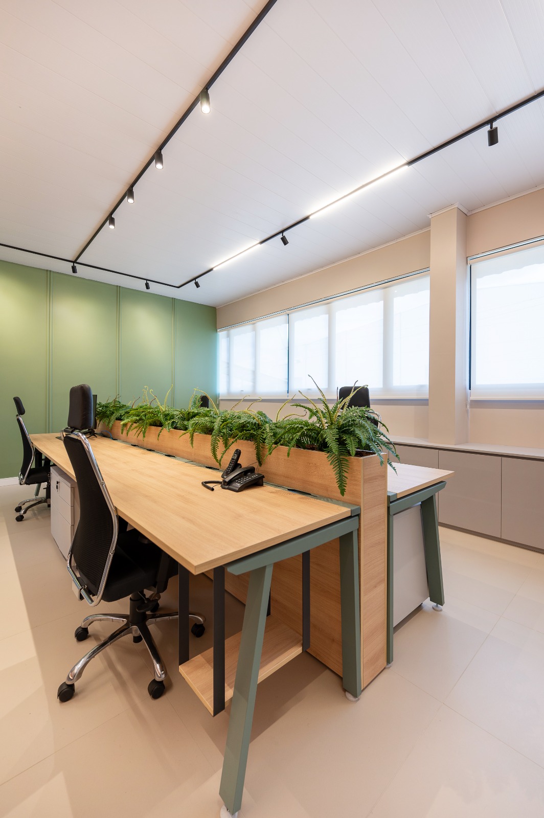 Oficina con plataformas individuales en madera y jardineras de helechos